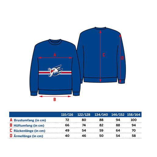 Kids Sweater Schrift Logo 25, 110/116 Kids Sweater Schrift Logo 25, 110/116